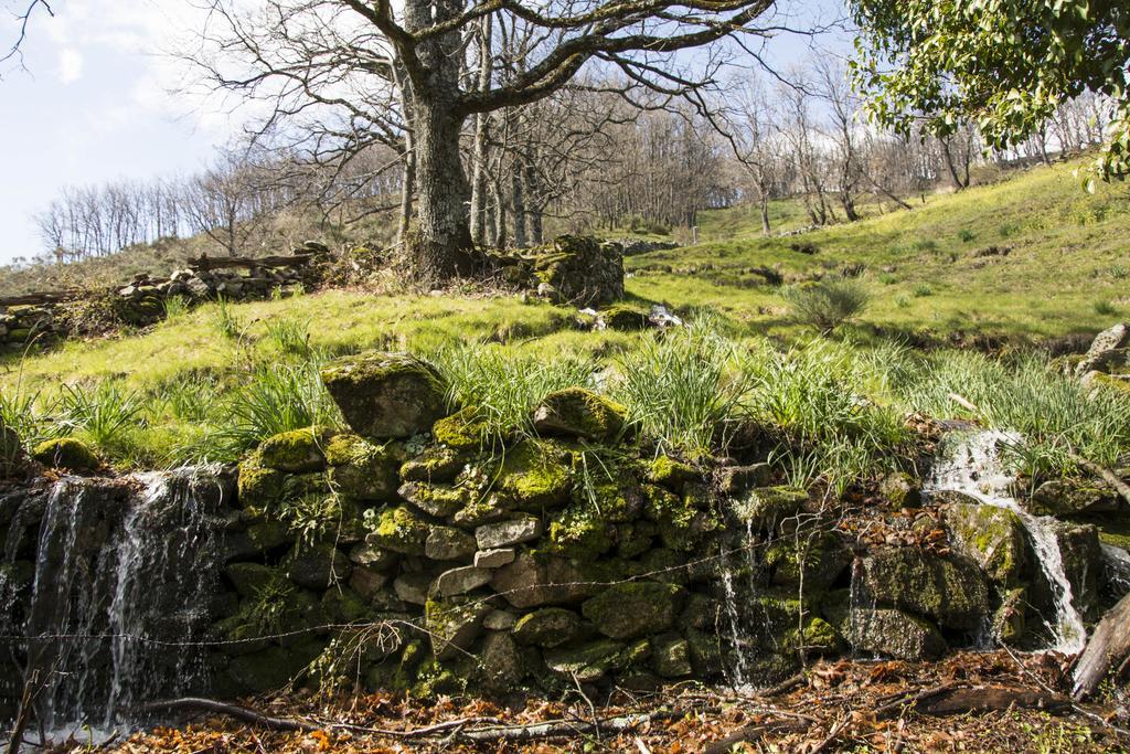 Casa Rural Fuente El Boticario Aldeanueva de la Vera Zewnętrze zdjęcie