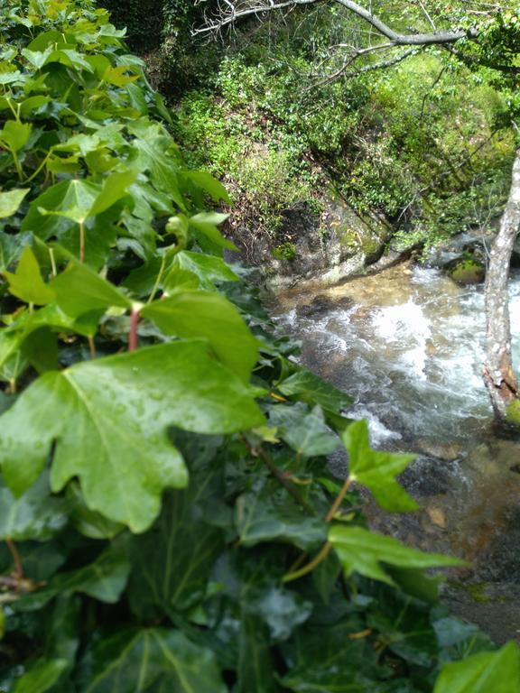 Casa Rural Fuente El Boticario Aldeanueva de la Vera Zewnętrze zdjęcie